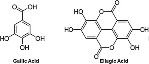 Structure Of Two Metabolites Of Ets A Gallic Acid Ga B Ellagic Download Scientific