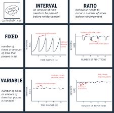 Schedules Of Reinforcement In Psychology Types Examples Video