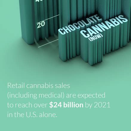 Cannabis Infographic Design | The Hood Collective