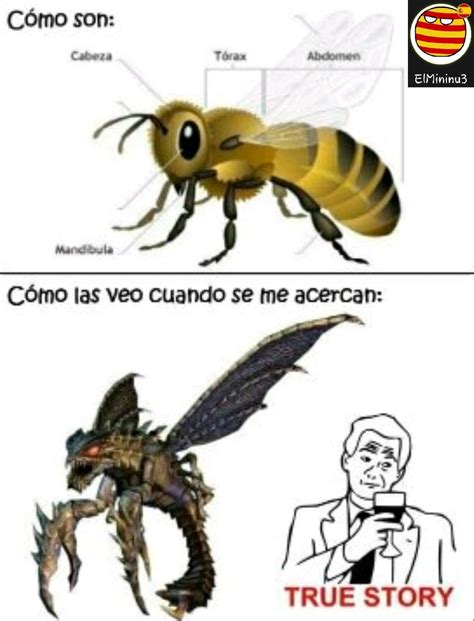 Abejas Meme Subido Por ElMininu3 Memedroid