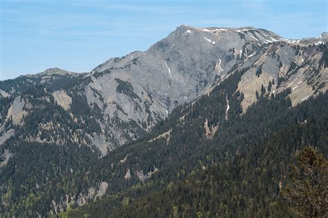 hoher freschen  wwwgipfelbuchch