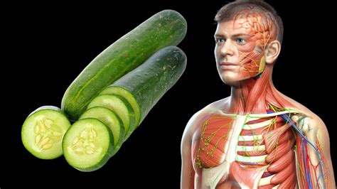 9 Health Benefits Of Cucumber You Probably Didnt Know Youtube