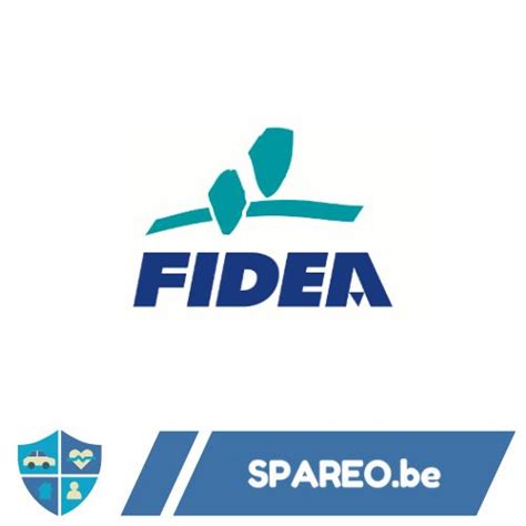 presentatie van fidea door spareobe