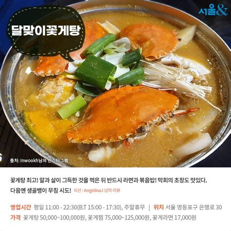 카드뉴스 단단한 껍질 속 감칠맛 서울 꽃게 요리 맛집 Best 5 문화일반 문화 뉴스 서울and