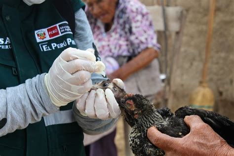 Campaña gratuita de vacunación beneficia a más de 6 mil pequeños