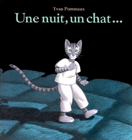 Amazon Fr UNE NUIT UN CHAT Pommaux Yvan Livres