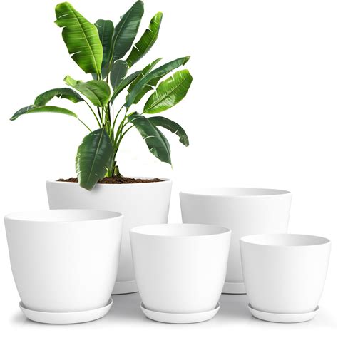 6 Best Indoor Plant Pots with Drainage for Healthy Plants - Smart Plant