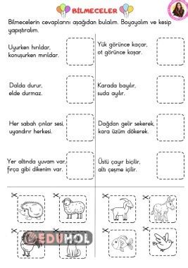 Bilmeceler Eduhol Etkinlik İndir Oyun Oyna Test Çöz Video İzle