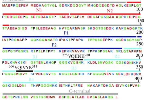 Amino Acid Sequence Of The Longest Tau Isoform Amino Acids N