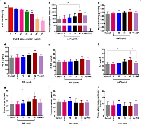 A Cell Viability Of Huvecs Anp Promotes Coagulation Abnormalities