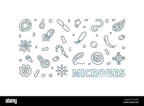 Microbes Vector Micro Biology Concept Outline Minimal Horizontal Banner