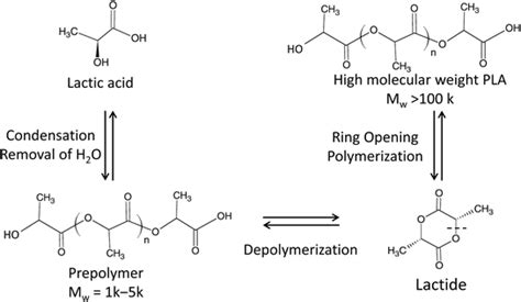 Pla Polylactic Acid