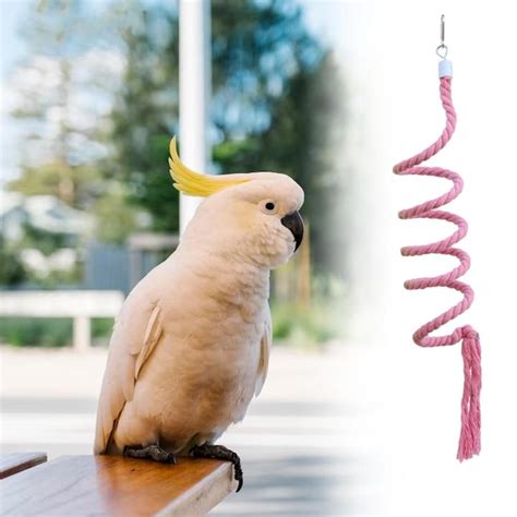 Serally Parrot Spiral Swing Perch Bird Spiral Rope Perch For Conures