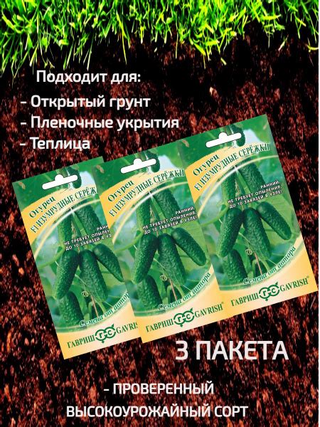 Огурцы Гавриш сережки - купить по выгодным ценам в интернет-магазине ...