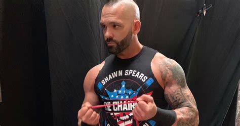 shawn spears dubs   chairman  aew  fight   fallen