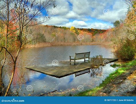 Bench On Dock Stock Photo Image Of Trees Park Recreation 5871720