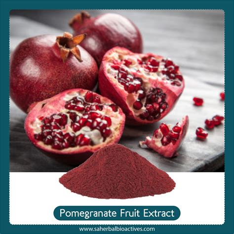 Punica Granatum Fruit Extract - SA Herbal Bioactives