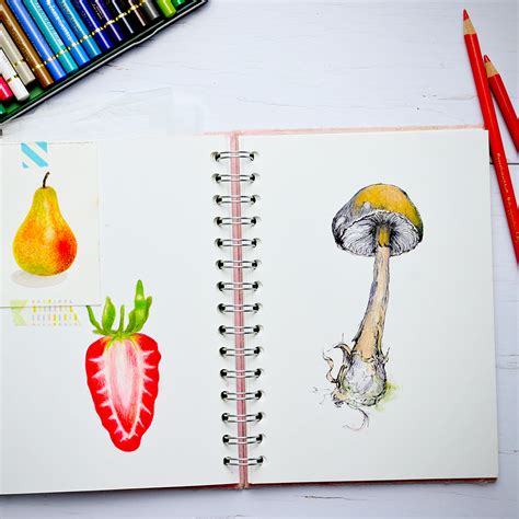 Beginner's Guide to Drawing with Colored Pencils