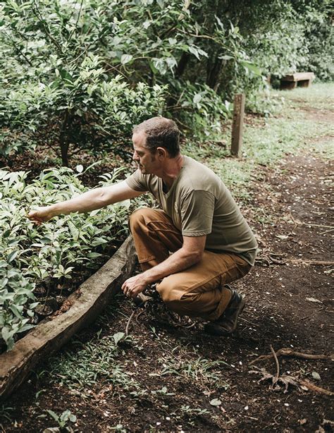 Click Here For Permaculture Design Certification Course PDC October