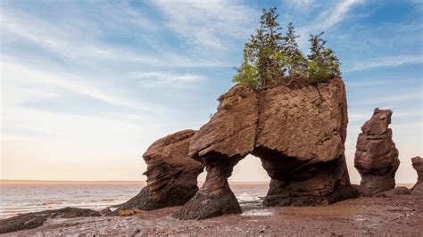 Walking The Ocean Floor At Hopewell Rocks Discvrblog