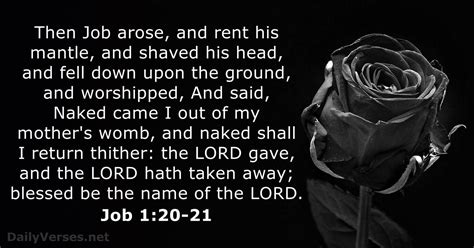 Job 120 21 Bible Verse Kjv