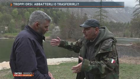 La Sorte Dei Cuccioli Dell Orsa Jj4 Controcorrente Video Mediaset