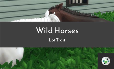 25+ Best Sims 4 Horse Mods for a New World of Equestrian Fun