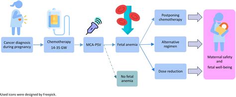 Cancer During Pregnancy Acta Obstetricia Et Gynecologica Scandinavica Vol 103 No 4