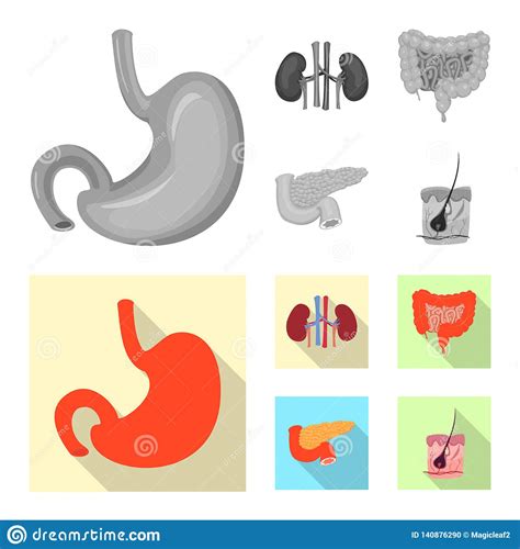 Isolated Object Of Body And Human Symbol Set Of Body And Medical