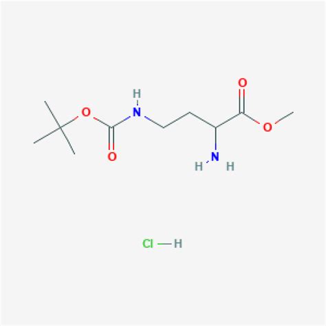 Buy Premium High Quality Ngamma Boc L 2 4 Diaminobutyric Acid Methyl