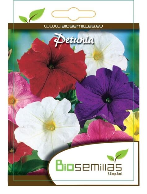 Petunia Biosemillas Almería Coop