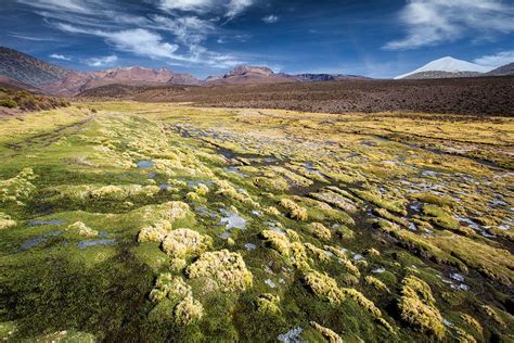 Turismo En Sajama National Park Bolivia 2023 Opiniones Consejos E