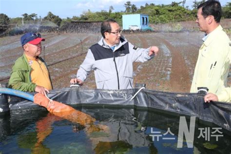 강병삼 제주시장 서부지역 가을 가뭄 대응 현장 점검 뉴스n제주