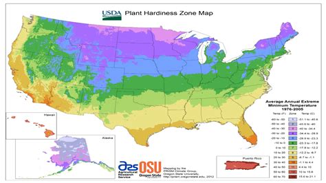 zone  gardening  guide  growing success mindfulgeneralcom