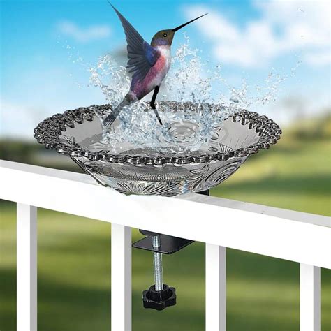 Mangeoire Pour Oiseaux Creuse En Plastique Nouveau Design Bain