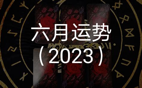 【龙女塔罗】六月运势（2023 哔哩哔哩