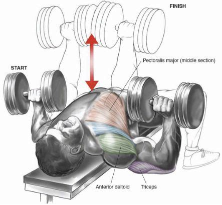 Superset Chest Workout Best Supersets To Build A Bigger Chest