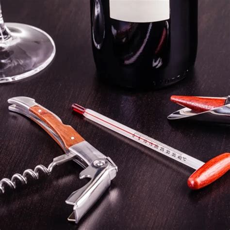 ¿Cuál es la temperatura perfecta para un vino? | Filo News