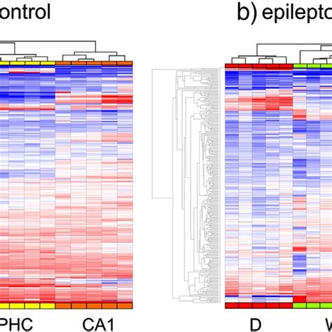 A The Heat Maps Show The Result Of Two Way Hierarchical Clustering Of Download Scientific