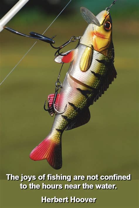 I Did Some Research And Found The Top 5 Lagemouth Bass Fishing Lures