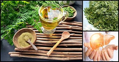 Moringa Tea A Natural Way To Boost Liver Health Dr Farrah Md