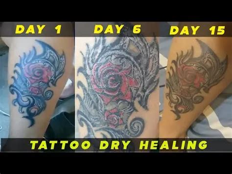 Dry Healing Your Tattoo Is It An Effective Healing Method Tattify