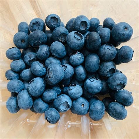 California Giant Berry Farms Blueberries Reviews Abillion