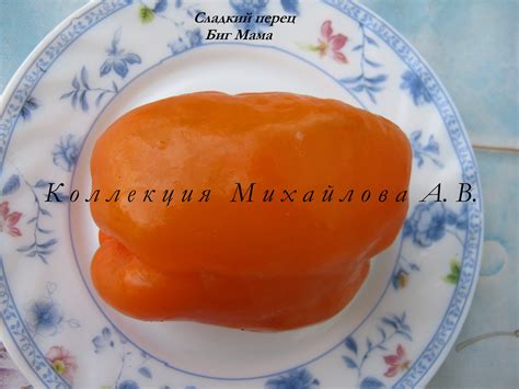 Сладкий перец Биг Мама. Семена закончились.