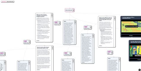 Macromolecules Concept Map Concept Map | Heuristica 