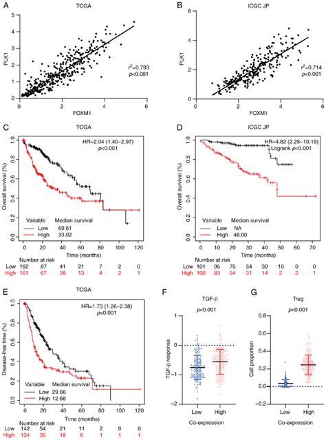 Coordinated Overexpression Of Foxm1 And Plk1 Is Associated With Poor