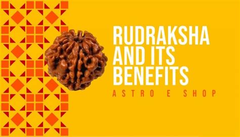 Rudraksha And Its Benefits Astro E Shop