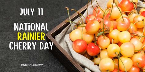 National Rainier Cherry Day July 11 History Facts And Quotes