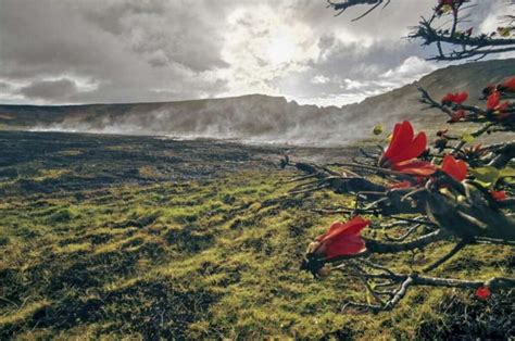 Moai Carbonizzati Sull Isola Di Pasqua Dago Fotogallery