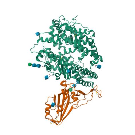 RCSB PDB 7U0N Crystal Structure Of Chimeric Omicron RBD Strain BA 1